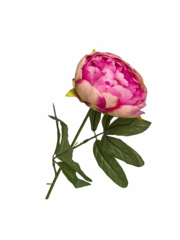 Λουλούδι Διακοσμητικό Παιώνια Pink - 20-95-041